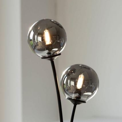 Paul Neuhaus 4040-18 - LED-pöytälamppu WIDOW 2xG9/3W/230V