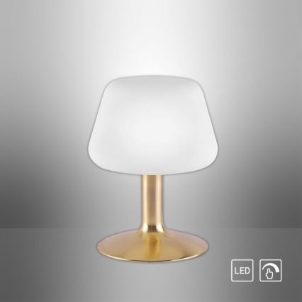 Paul Neuhaus 4078-60 - Himmennettävä LED-kosketuspöytävalaisin TILL 1xG9/3W/230V messinki