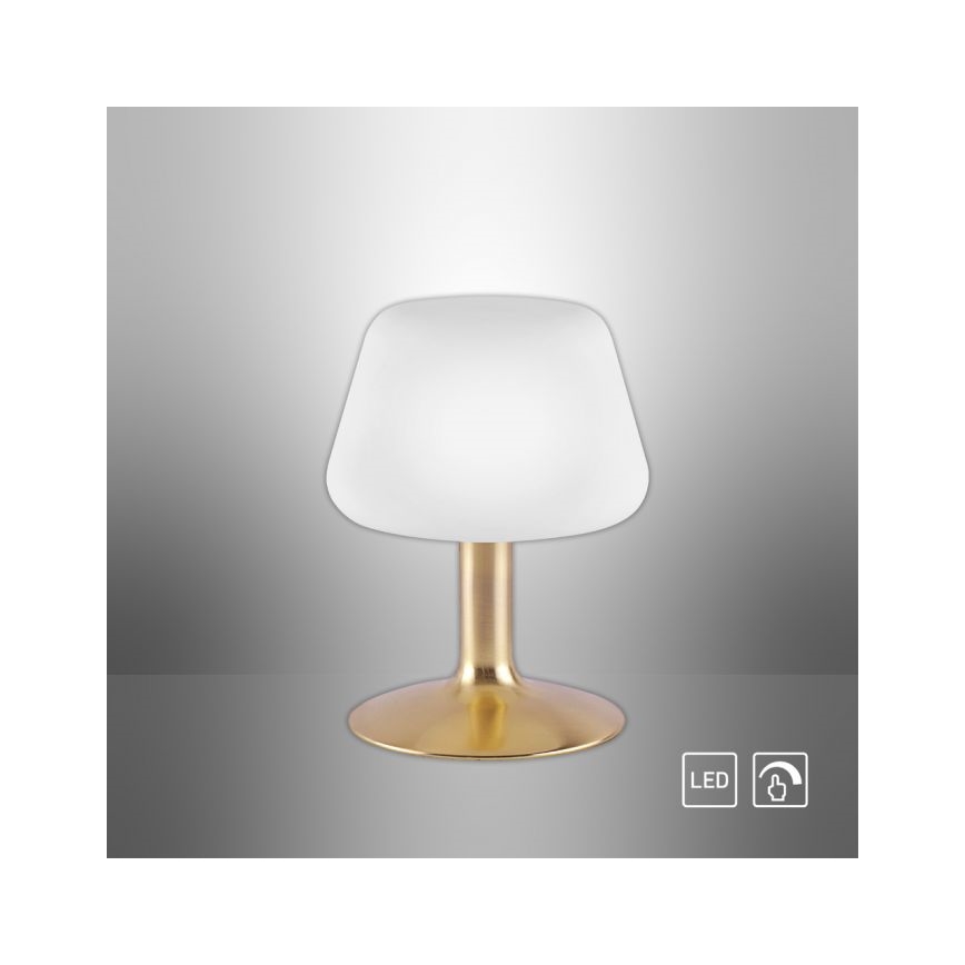 Paul Neuhaus 4078-60 - Himmennettävä LED-kosketuspöytävalaisin TILL 1xG9/3W/230V messinki