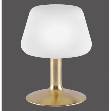 Paul Neuhaus 4078-60 - Himmennettävä LED-kosketuspöytävalaisin TILL 1xG9/3W/230V messinki