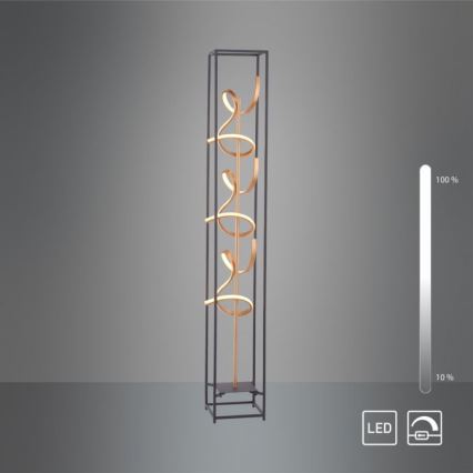Paul Neuhaus 415-18 - Himmennettävä LED-lattiavalaisin SELINA 3xLED/10,2W/230V