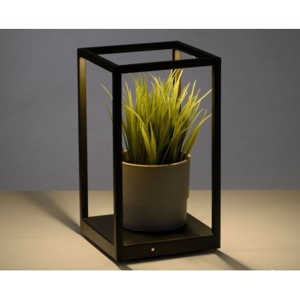 Paul Neuhaus 4401-18 - LED Himmennettävä pöytävalaisin CONTURA 2xLED/2,2W/230V
