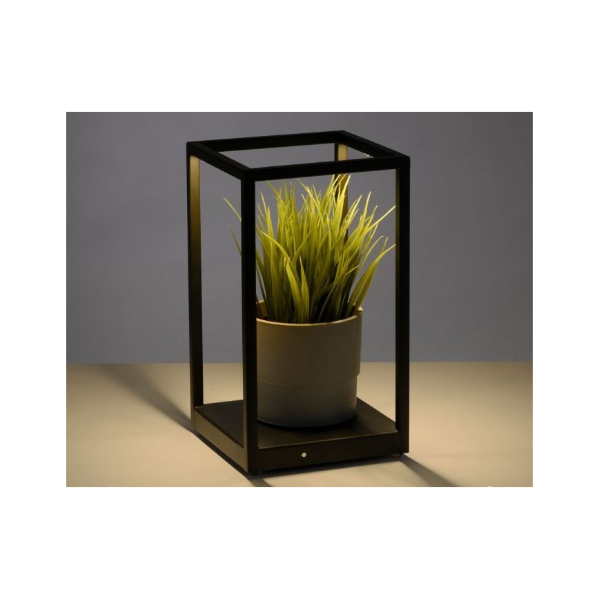 Paul Neuhaus 4401-18 - LED Himmennettävä pöytävalaisin CONTURA 2xLED/2,2W/230V