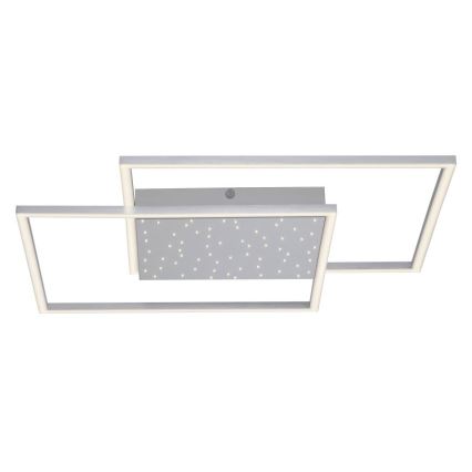 Paul Neuhaus 6024-55 - LED Himmennettävä pinta-asetettava kattokruunu YUKI LED/49W/230V + kauko-ohjain