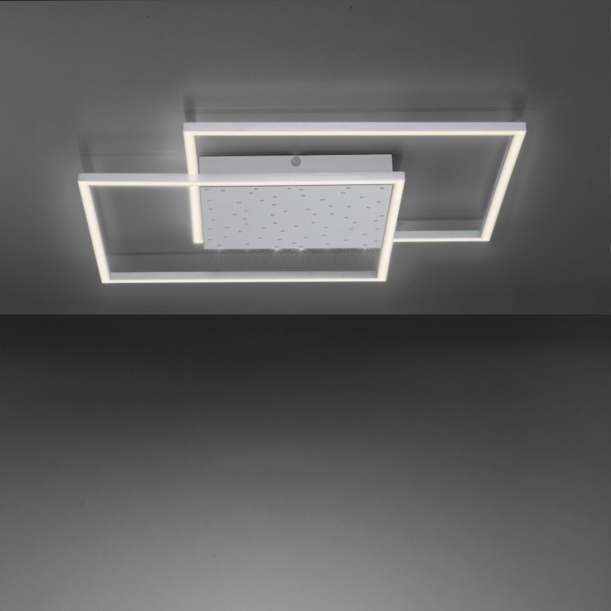 Paul Neuhaus 6024-55 - LED Himmennettävä pinta-asetettava kattokruunu YUKI LED/49W/230V + kauko-ohjain
