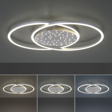 Paul Neuhaus 6025-55 - LED Himmennettävä kattovalo YUKI LED/48W/230V + kaukosäädin