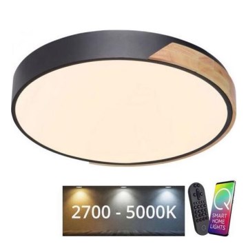 Paul Neuhaus 6071-18 - Himmennettävä LED-kattovalaisin Q-PIATO LED/35W/230V halkaisija 51 cm 2700-5000K Wi-Fi + kauko-ohjaus