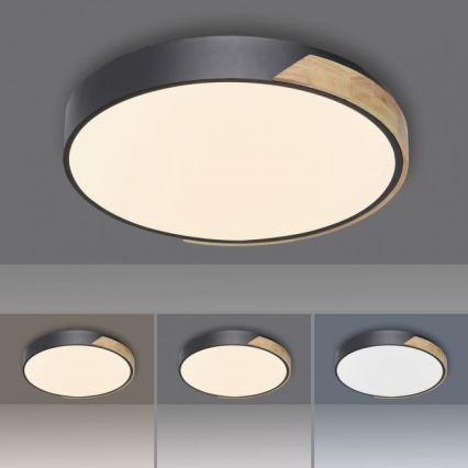 Paul Neuhaus 6071-18 - LED himmennettävä kattovalaisin Q-PIATO LED/35W/230V halkaisija 51 cm 2700-5000K Wi-Fi + kaukosäädin