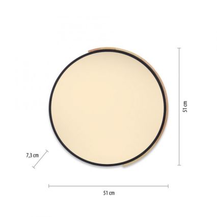 Paul Neuhaus 6071-18 - Himmennettävä LED-kattovalaisin Q-PIATO LED/35W/230V halkaisija 51 cm 2700-5000K Wi-Fi + kauko-ohjaus