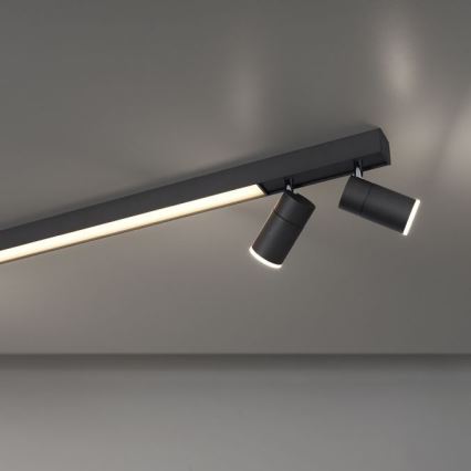 Paul Neuhaus 6121-13 - PURE himmennettävä LED-kohdevalaisin 4xLED/4W/230V + LED/9W 2700-5000K + kaukosäädin