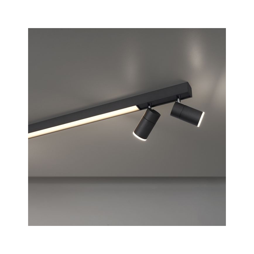 Paul Neuhaus 6121-13 - Himmennettävä LED-kohdevalo PURE 4xLED/4W/230V + LED/9W 2700-5000K + kauko-ohjaus