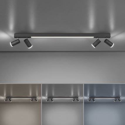 Paul Neuhaus 6121-13 - Himmennettävä LED-kohdevalo PURE 4xLED/4W/230V + LED/9W 2700-5000K + kauko-ohjaus