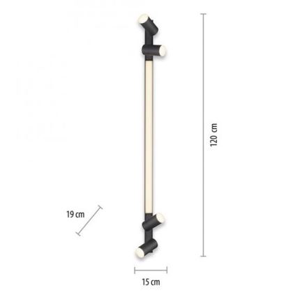 Paul Neuhaus 6121-13 - Himmennettävä LED-kohdevalo PURE 4xLED/4W/230V + LED/9W 2700-5000K + kauko-ohjaus