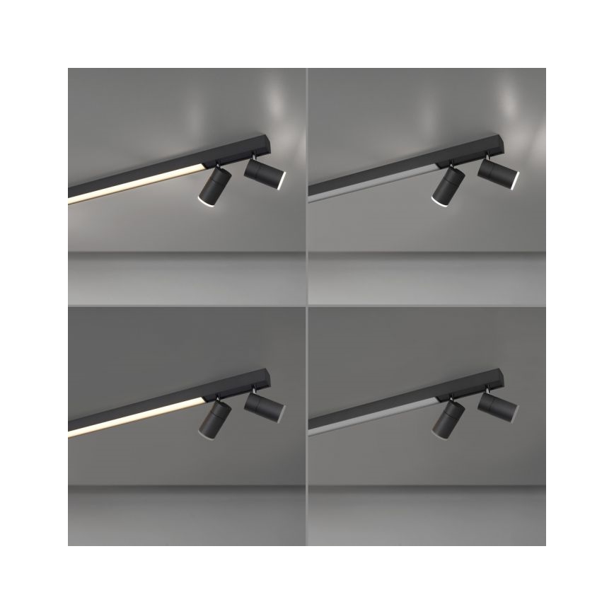 Paul Neuhaus 6121-13 - Himmennettävä LED-kohdevalo PURE 4xLED/4W/230V + LED/9W 2700-5000K + kauko-ohjaus
