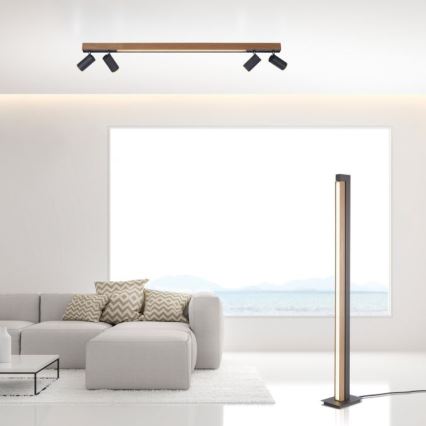 Paul Neuhaus 6121-79 - Himmennettävä LED-kohdevalo PURE 4xLED/4W/230V + LED/9W 2700-5000K + kauko-ohjaus
