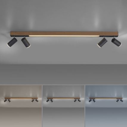 Paul Neuhaus 6121-79 - Himmennettävä LED-kohdevalo PURE 4xLED/4W/230V + LED/9W 2700-5000K + kauko-ohjaus