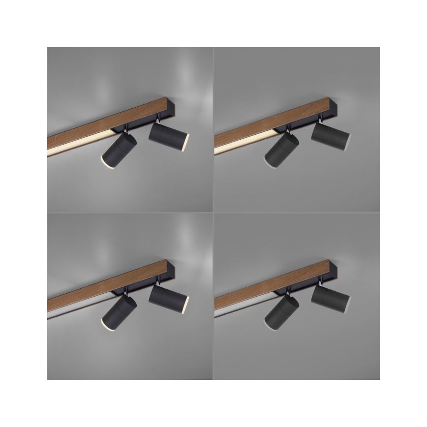 Paul Neuhaus 6121-79 - Himmennettävä LED-kohdevalo PURE 4xLED/4W/230V + LED/9W 2700-5000K + kauko-ohjaus