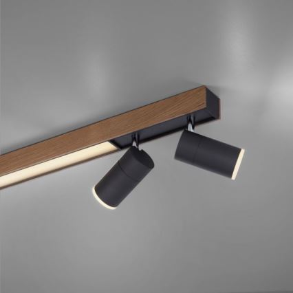 Paul Neuhaus 6121-79 - Himmennettävä LED-kohdevalo PURE 4xLED/4W/230V + LED/9W 2700-5000K + kauko-ohjaus