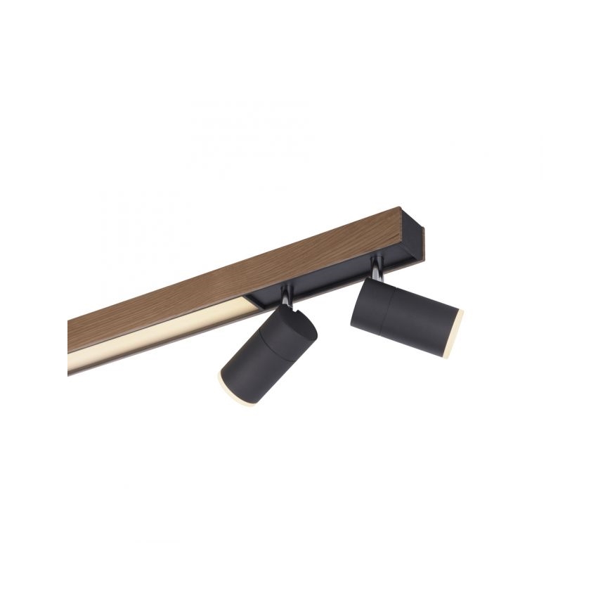 Paul Neuhaus 6121-79 - Himmennettävä LED-kohdevalo PURE 4xLED/4W/230V + LED/9W 2700-5000K + kauko-ohjaus