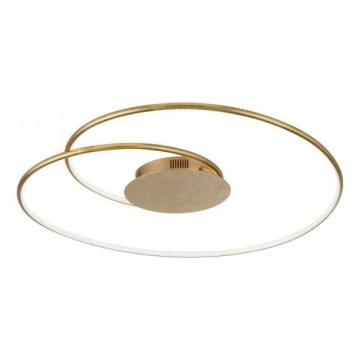Paul Neuhaus 6189-12 - Himmennettävä LED-kattovalaisin NASTRO LED/26W/230V