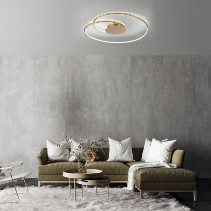 Paul Neuhaus 6189-12 - Himmennettävä LED-kattovalaisin NASTRO LED/26W/230V