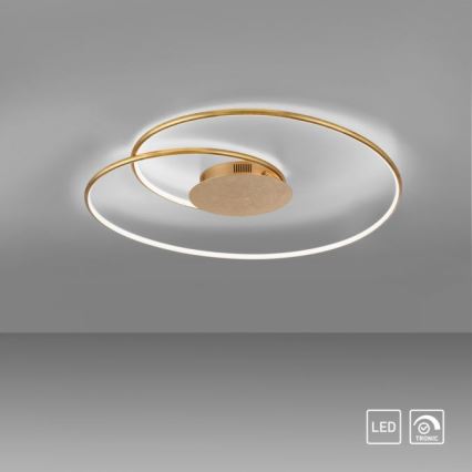 Paul Neuhaus 6189-12 - Himmennettävä LED-kattovalaisin NASTRO LED/26W/230V