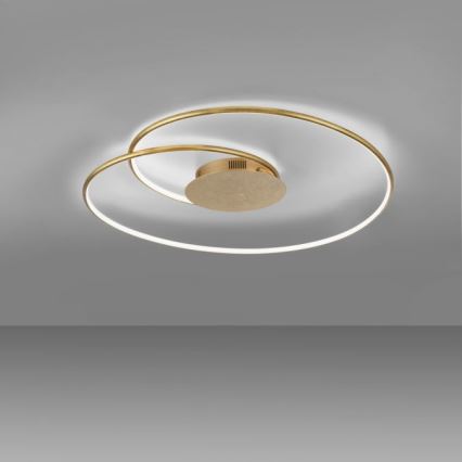 Paul Neuhaus 6189-12 - Himmennettävä LED-kattovalaisin NASTRO LED/26W/230V