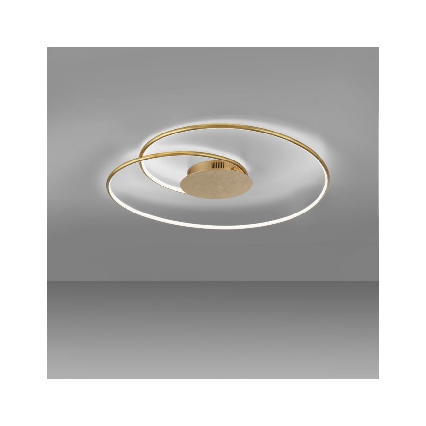 Paul Neuhaus 6189-12 - Himmennettävä LED-kattovalaisin NASTRO LED/26W/230V