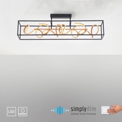 Paul Neuhaus 6473-18 - Himmennettävä LED-riipuskattokruunu SELINA 4xLED/10,2W/230V