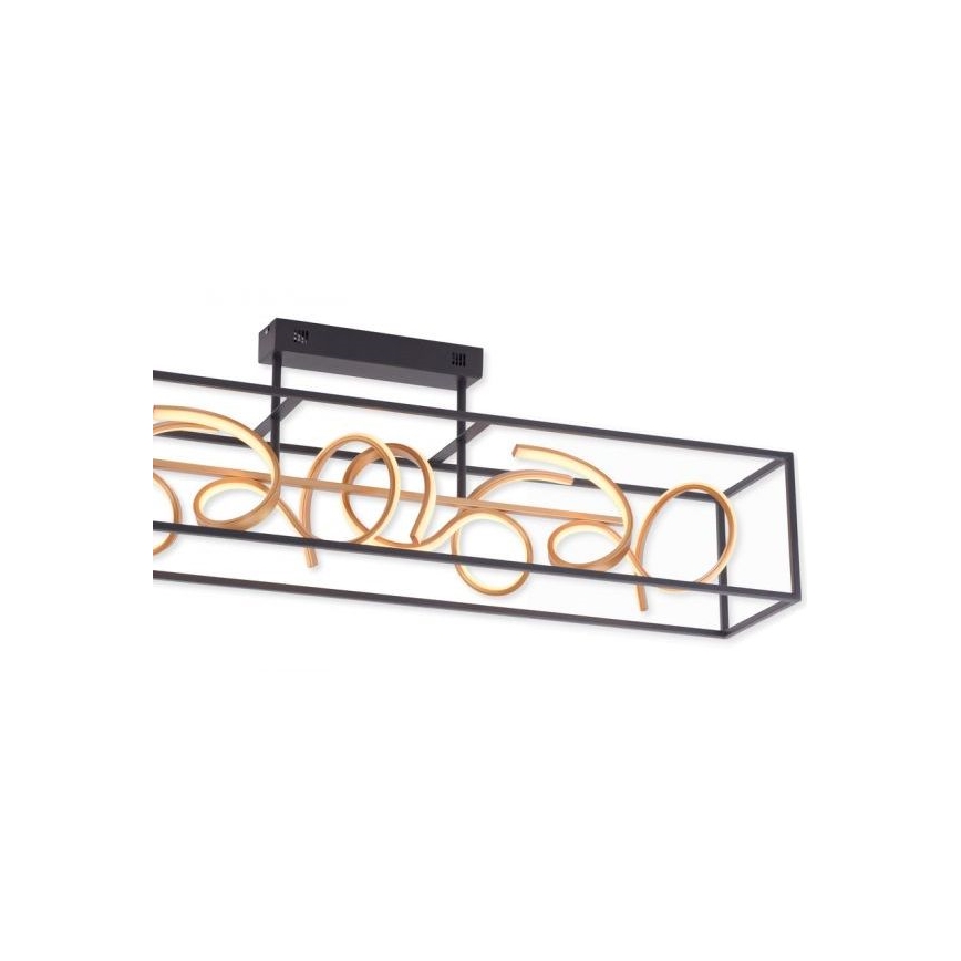 Paul Neuhaus 6473-18 - Himmennettävä LED-riipuskattokruunu SELINA 4xLED/10,2W/230V