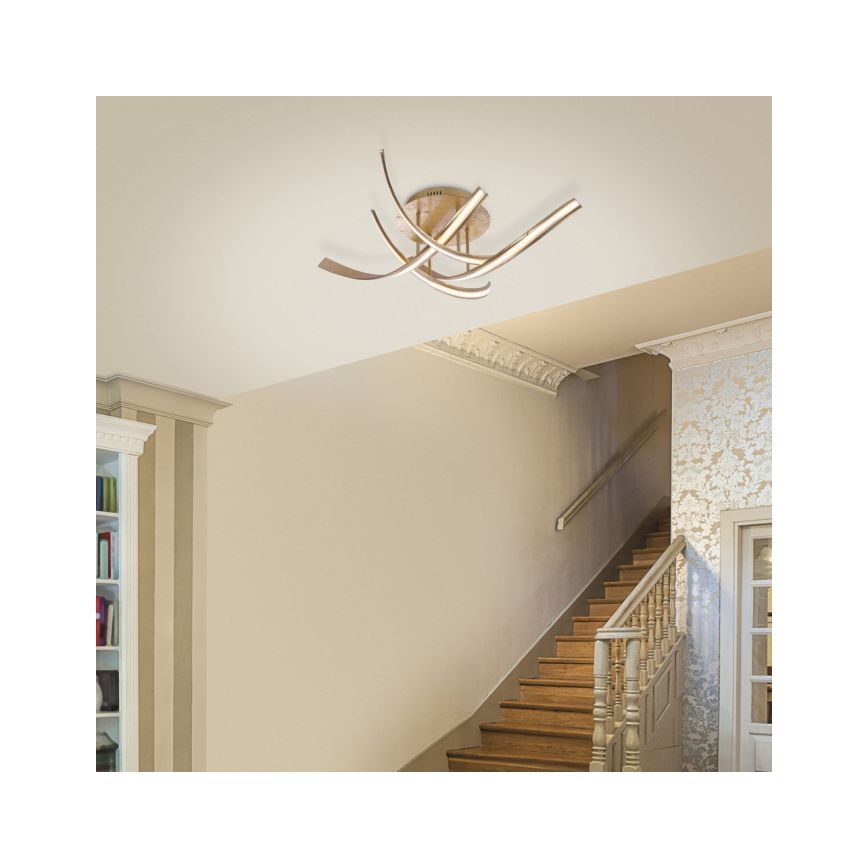 Paul Neuhaus 6474-12 - LED-himmennyskattokruunu LINDA 4xLED/7W/230V
