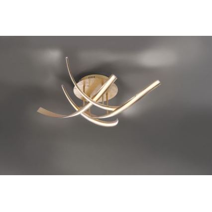 Paul Neuhaus 6474-12 - LED-himmennyskattokruunu LINDA 4xLED/7W/230V