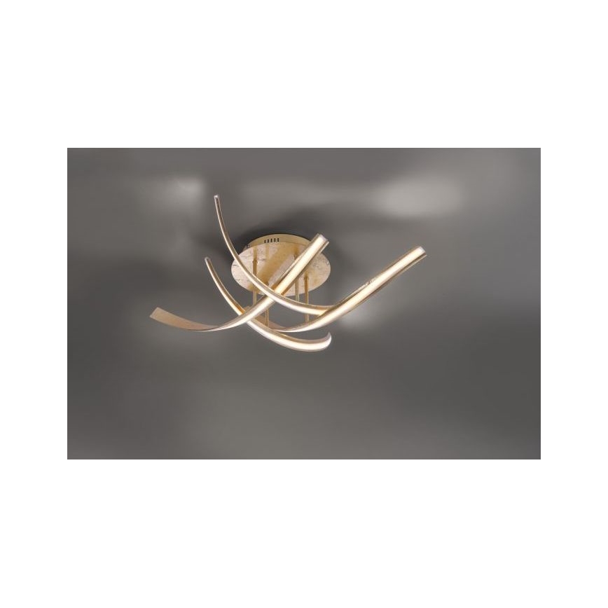 Paul Neuhaus 6474-12 - LED-himmennyskattokruunu LINDA 4xLED/7W/230V