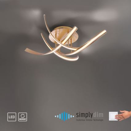 Paul Neuhaus 6474-12 - LED-himmennyskattokruunu LINDA 4xLED/7W/230V
