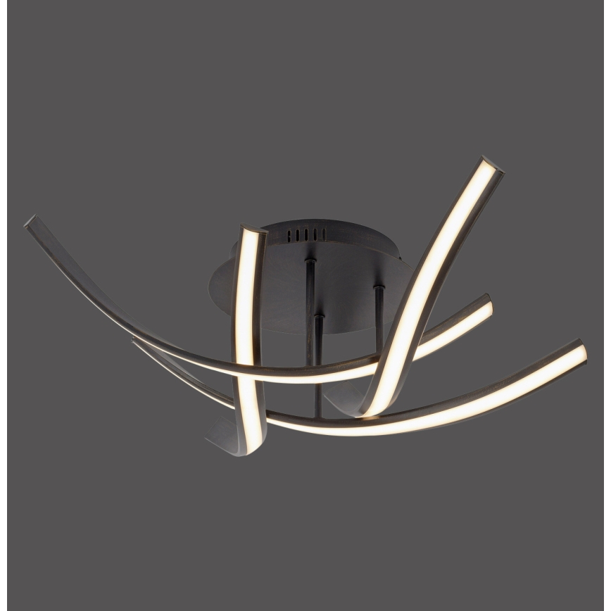 Paul Neuhaus 6474-48 - LED-himmennyskattokruunu LINDA 4xLED/7W/230V