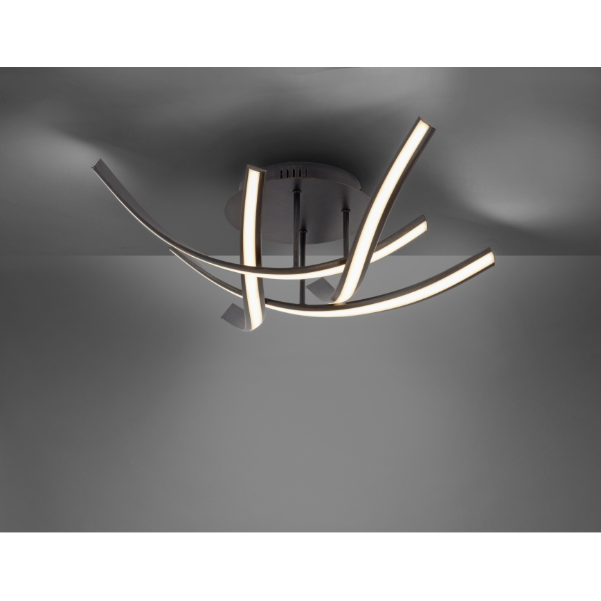 Paul Neuhaus 6474-48 - LED-himmennyskattokruunu LINDA 4xLED/7W/230V