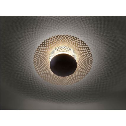 Paul Neuhaus 6551-48 - LED Himmennettävä kattovalo NEVIS LED/18W/230V