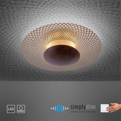 Paul Neuhaus 6551-48 - LED Himmennettävä kattovalo NEVIS LED/18W/230V