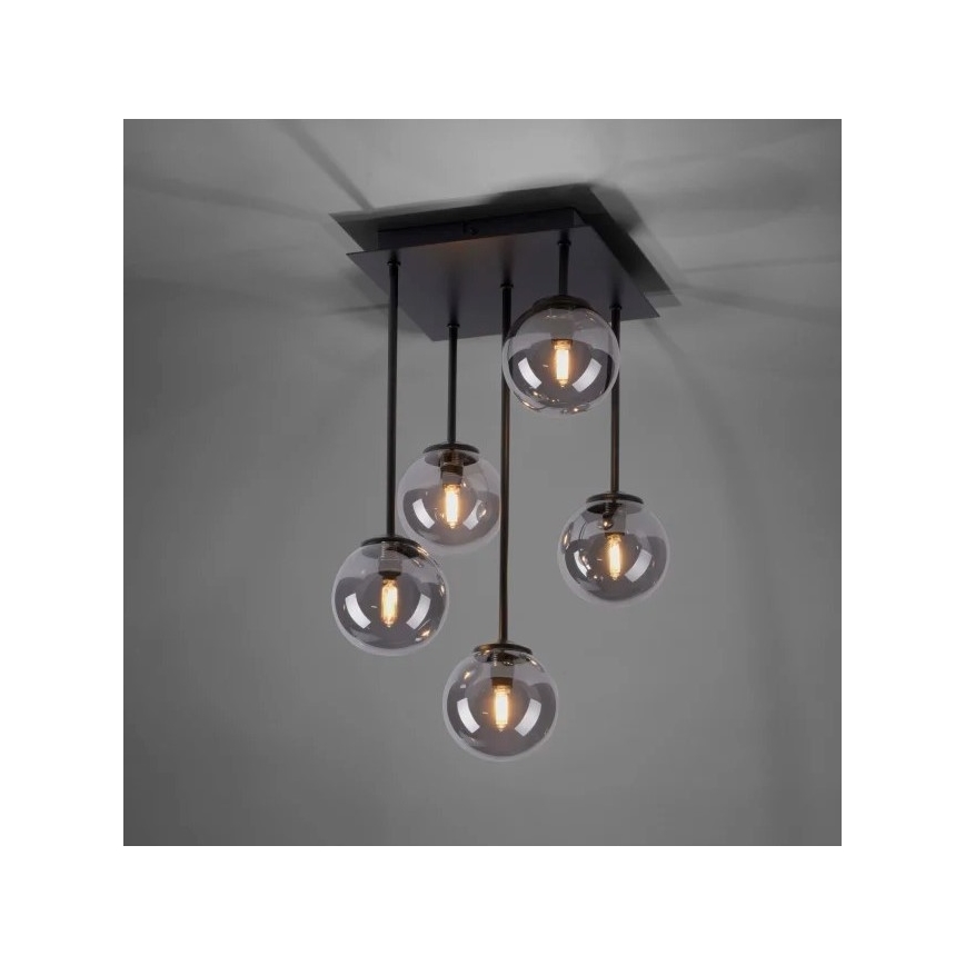 Paul Neuhaus 6719-18 - LED Kattokruunu tangossa WIDOW 5xG9/3W/230V