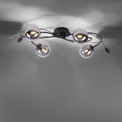 Paul Neuhaus 6724-18 - LED Pinta-asetettava kattokruunu WIDOW 4xG9/3W/230V