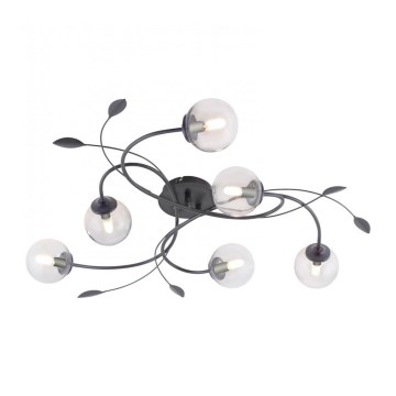 Paul Neuhaus 6737-18 - LED Pinta-asetettava kattokruunu WIDOW 6xG9/3W/230V
