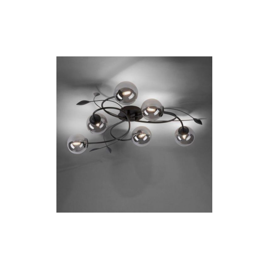 Paul Neuhaus 6737-18 - LED Pinta-asetettava kattokruunu WIDOW 6xG9/3W/230V