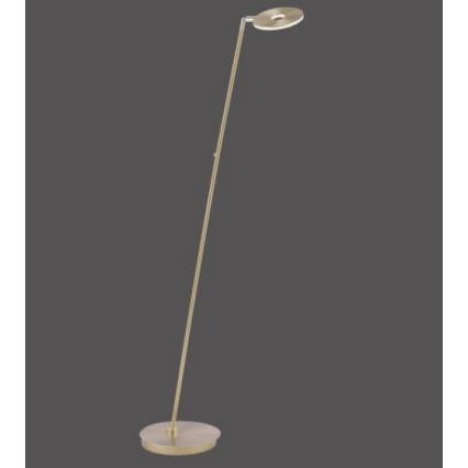 Paul Neuhaus 676-60 - LED Himmennettävä kosketus lattialamppu MARTIN LED/13,5W/230V messinki