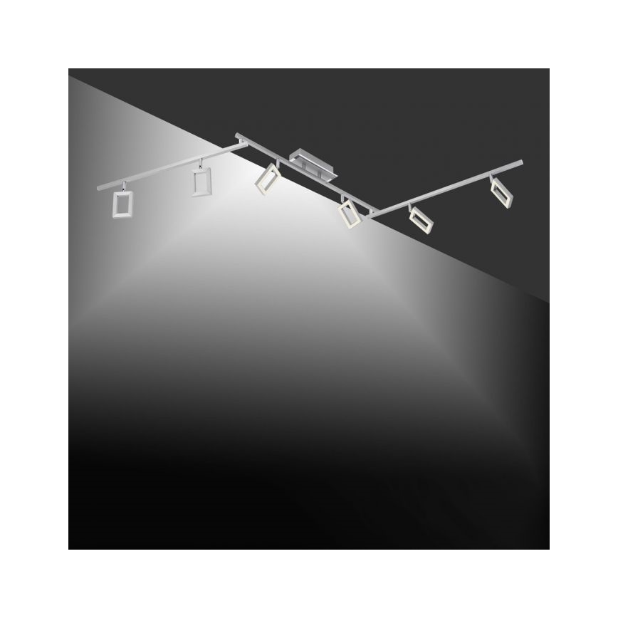Paul Neuhaus 6965-55 - Himmennettävä LED-kohdevalaisin INIGO 6xLED / 4W / 230V