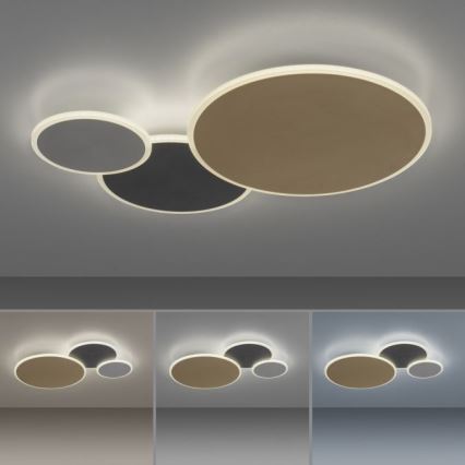 Paul Neuhaus 8007-70 - Himmennettävä LED-kattovalaisin Q-PIATO LED/35W/230V 2700-5000K Wi-Fi + kauko-ohjaus