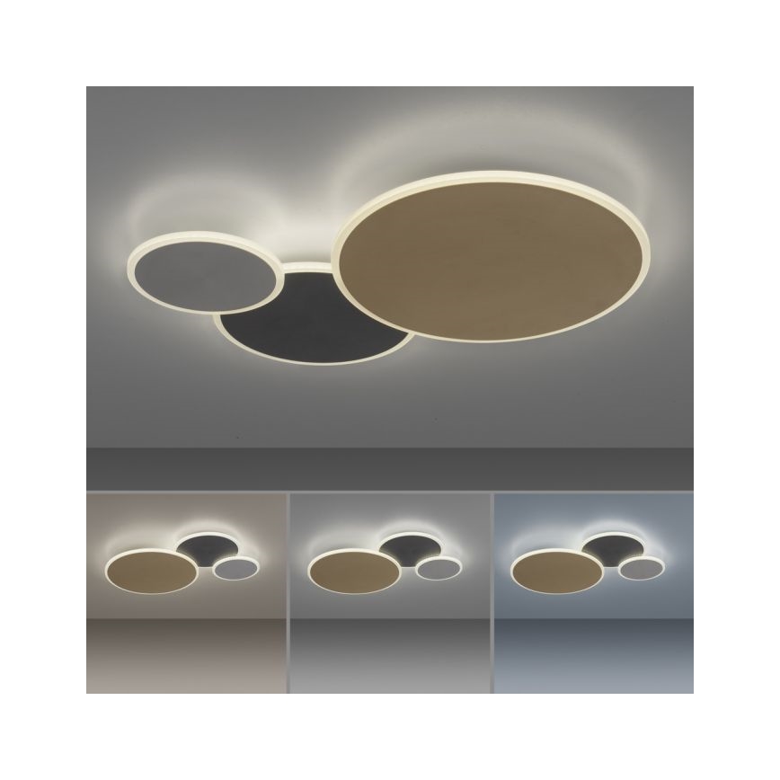 Paul Neuhaus 8007-70 - Himmennettävä LED-kattovalaisin Q-PIATO LED/35W/230V 2700-5000K Wi-Fi + kauko-ohjaus