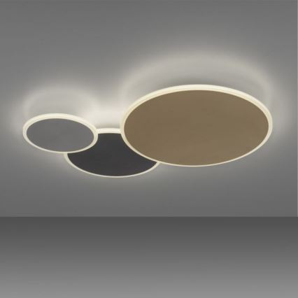 Paul Neuhaus 8007-70 - Himmennettävä LED-kattovalaisin Q-PIATO LED/35W/230V 2700-5000K Wi-Fi + kauko-ohjaus
