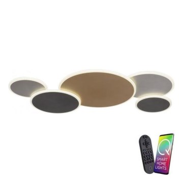 Paul Neuhaus 8008-70 - Himmennettävä LED-kattovalaisin Q-PIATO LED/49W/230V 2700-5000K Wi-Fi + kauko-ohjaus