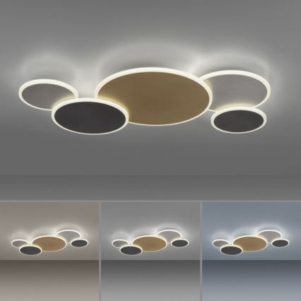 Paul Neuhaus 8008-70 - Himmennettävä LED-kattovalaisin Q-PIATO LED/49W/230V 2700-5000K Wi-Fi + kauko-ohjaus