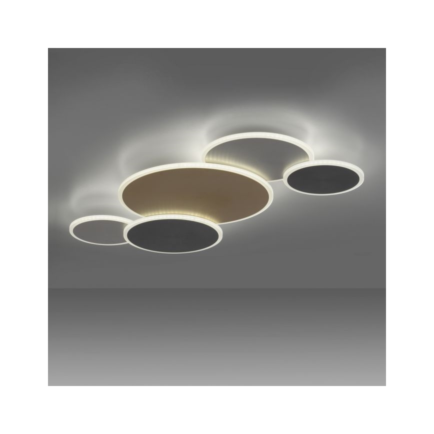 Paul Neuhaus 8008-70 - Himmennettävä LED-kattovalaisin Q-PIATO LED/49W/230V 2700-5000K Wi-Fi + kauko-ohjaus